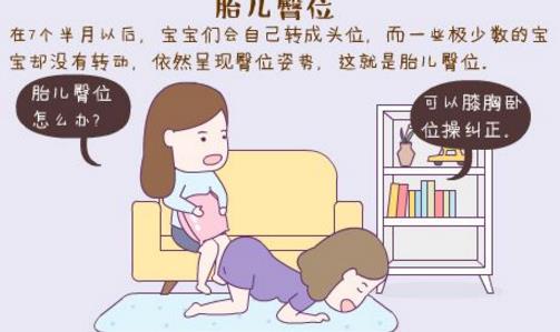 六个月b超臀位是女准吗