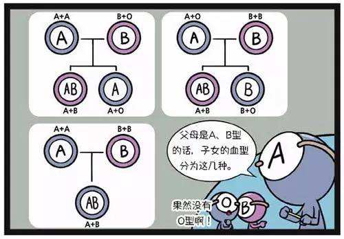 血型一般是遗传谁的.jpg