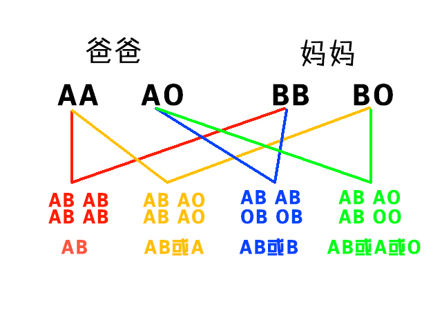 孩子遗传父母谁的血型.jpg