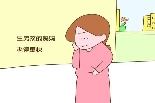 生男孩女孩是男方决定还是女方.jpg