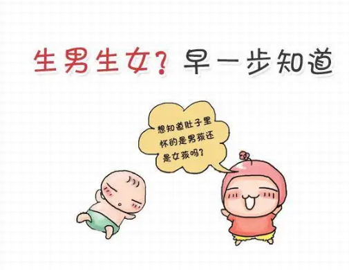 是男孩还是女孩从孕妇反应能否可以看出