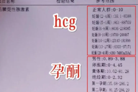 hcg翻倍和男女有啥关系.png