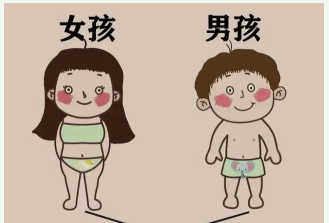 唐筛测性别怎么看,有哪些准确看性别的方法.png