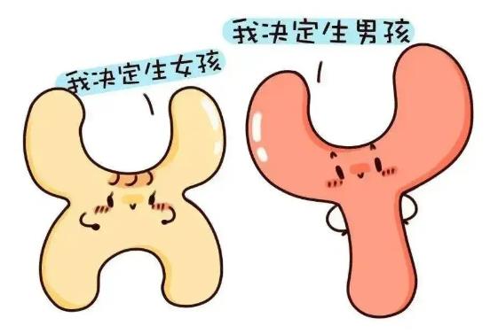 有试纸能查男孩女孩的吗？有科学依据吗？.jpg