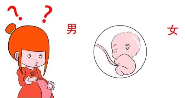 抽血可以查男孩女孩吗？还有哪些方法？.jpg