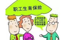 确认怀孕后办理生育险可不可以,生育险待遇有哪些.png