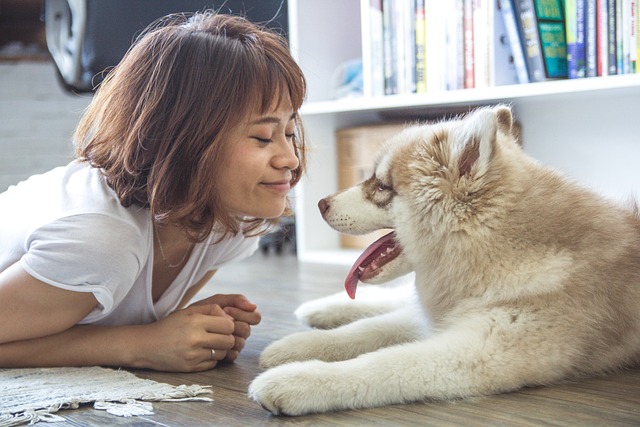 怀孕初期子宫有积液是怎么回事啊.jpg