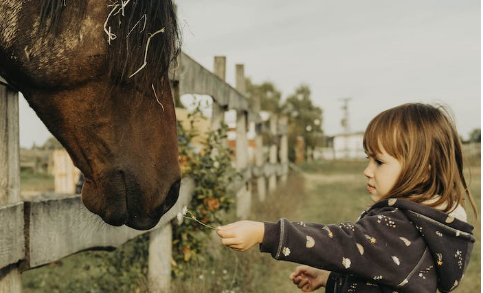 香港医院查胎儿性别需要空腹吗.png 香港医院查胎儿性别需要空腹吗.png