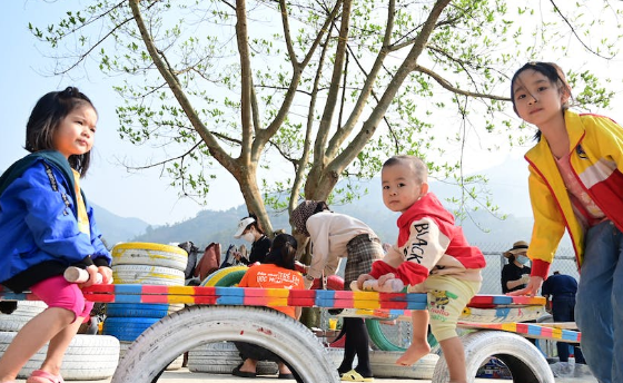 怀孕验血查男女的报告怎么验证真伪.png 怀孕验血查男女的报告怎么验证真伪.png