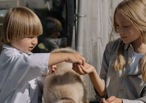 怀孕6周去香港PG化验所会准吗.png 怀孕6周去香港PG化验所会准吗.png